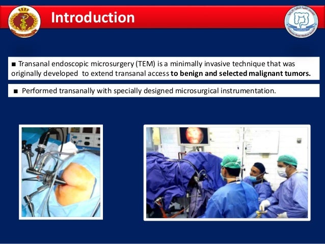 anal endoscopic microsurgery trans Butch femme anal lover